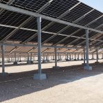 IMG_20240610_101041 (1)